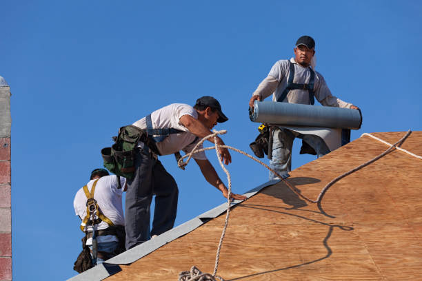 Best Roof Repair Services  in Mcmurray, PA